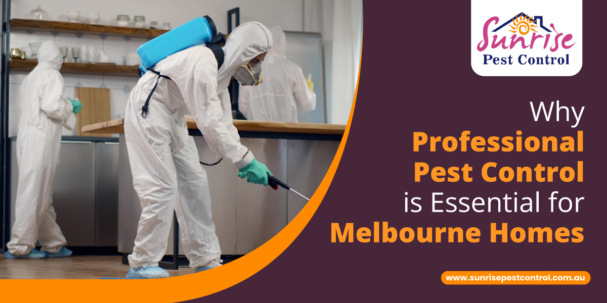 Pest Control is Essential for Melbourne Homes