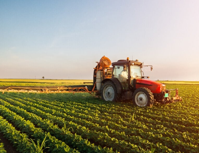 We provide safe, fast, and effective pest control in Melbourne