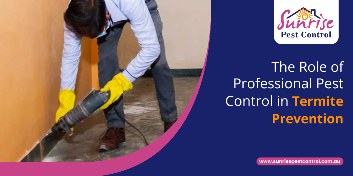 Professional Pest Control in Termite Prevention